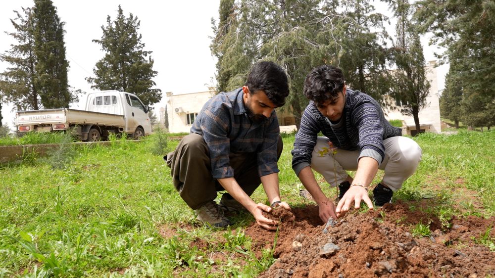 Community and environmental work